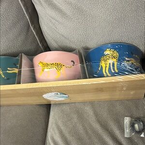 Pink and Blue Cheetah Print Bowls